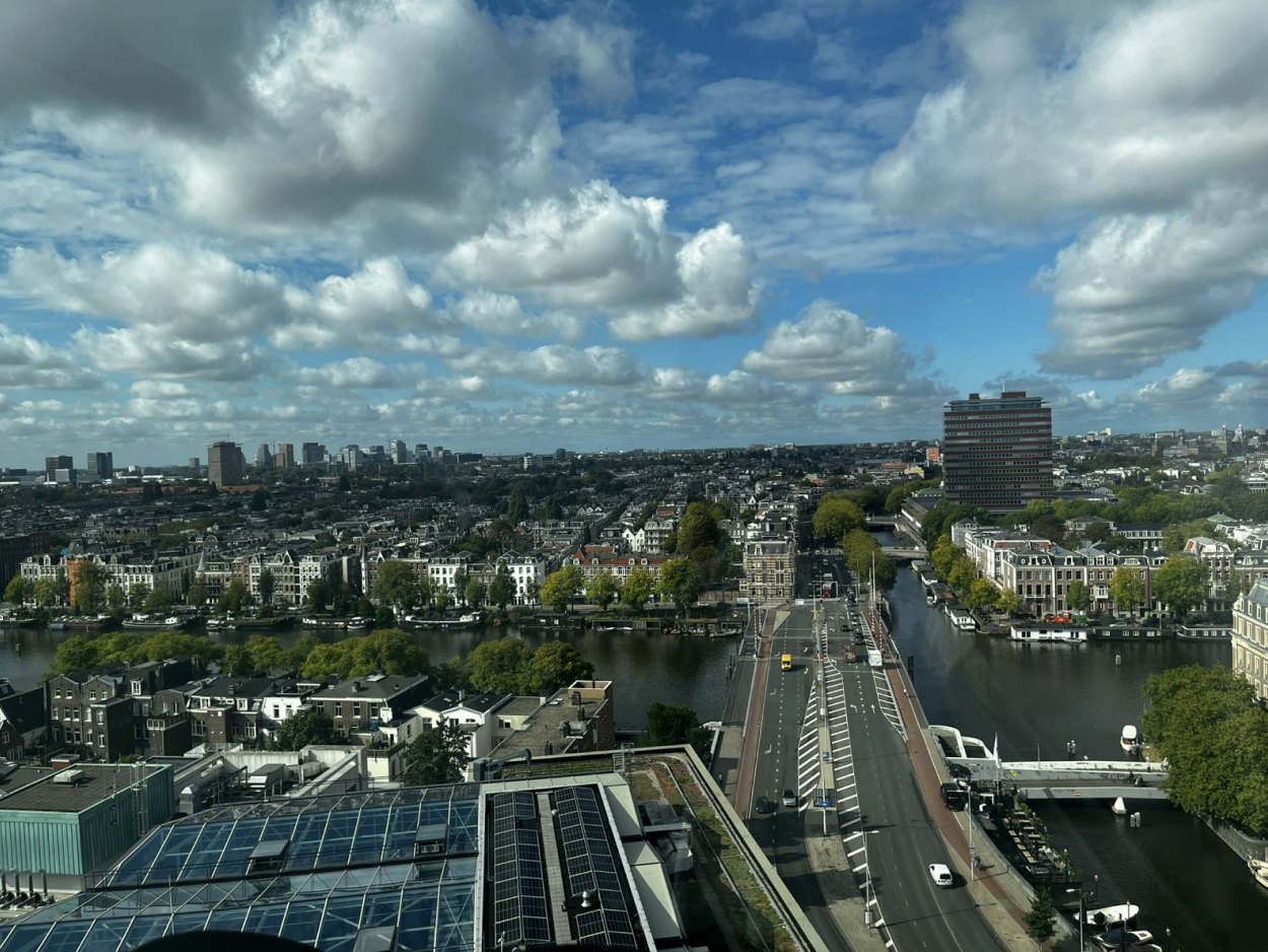 view